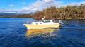 Max Creese 36 Sedan Motor Cruiser EFFICIENT SEDAN CRUISER, EXCEPTIONAL CONDITION!!!