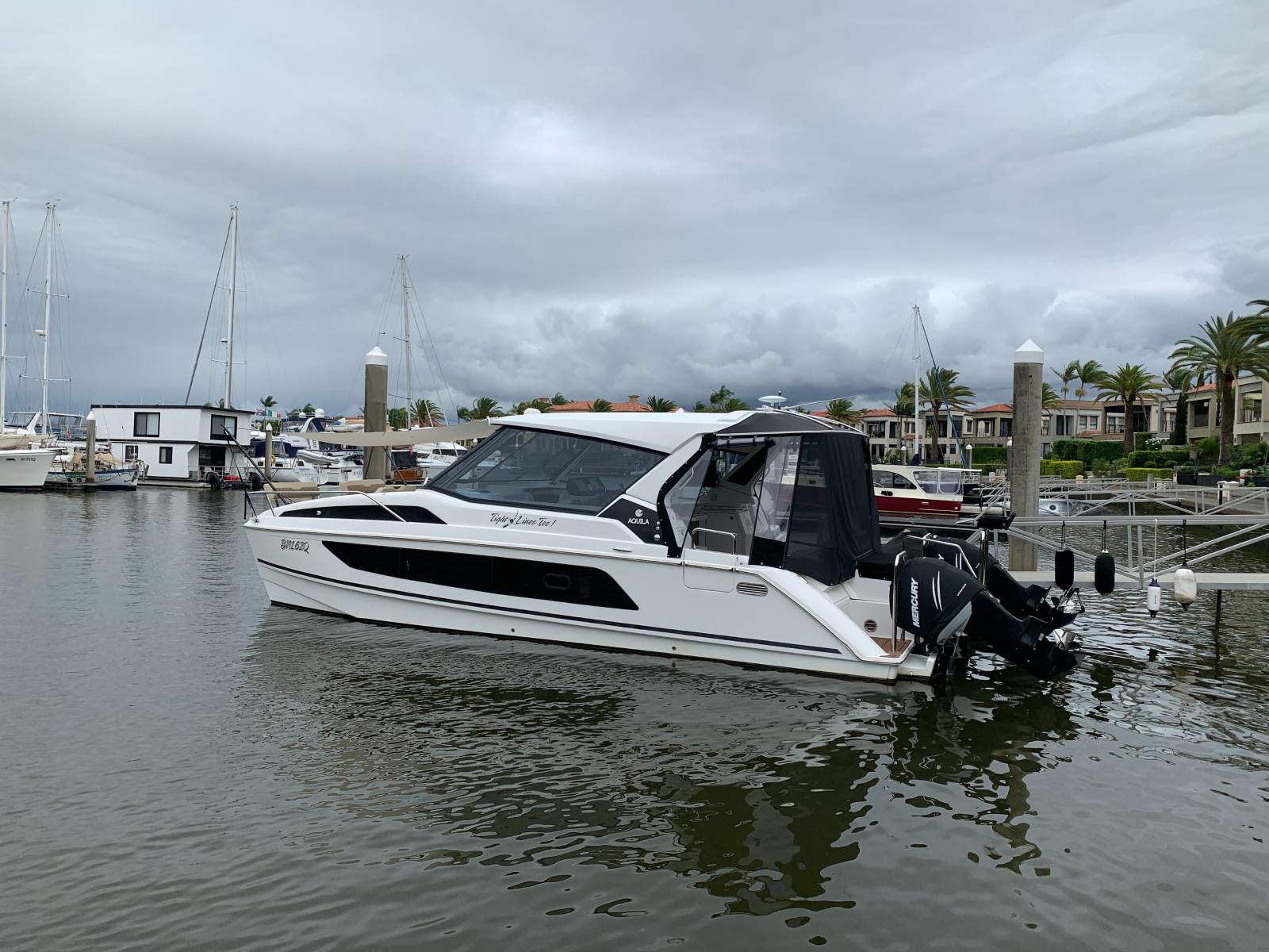 Aquila 36