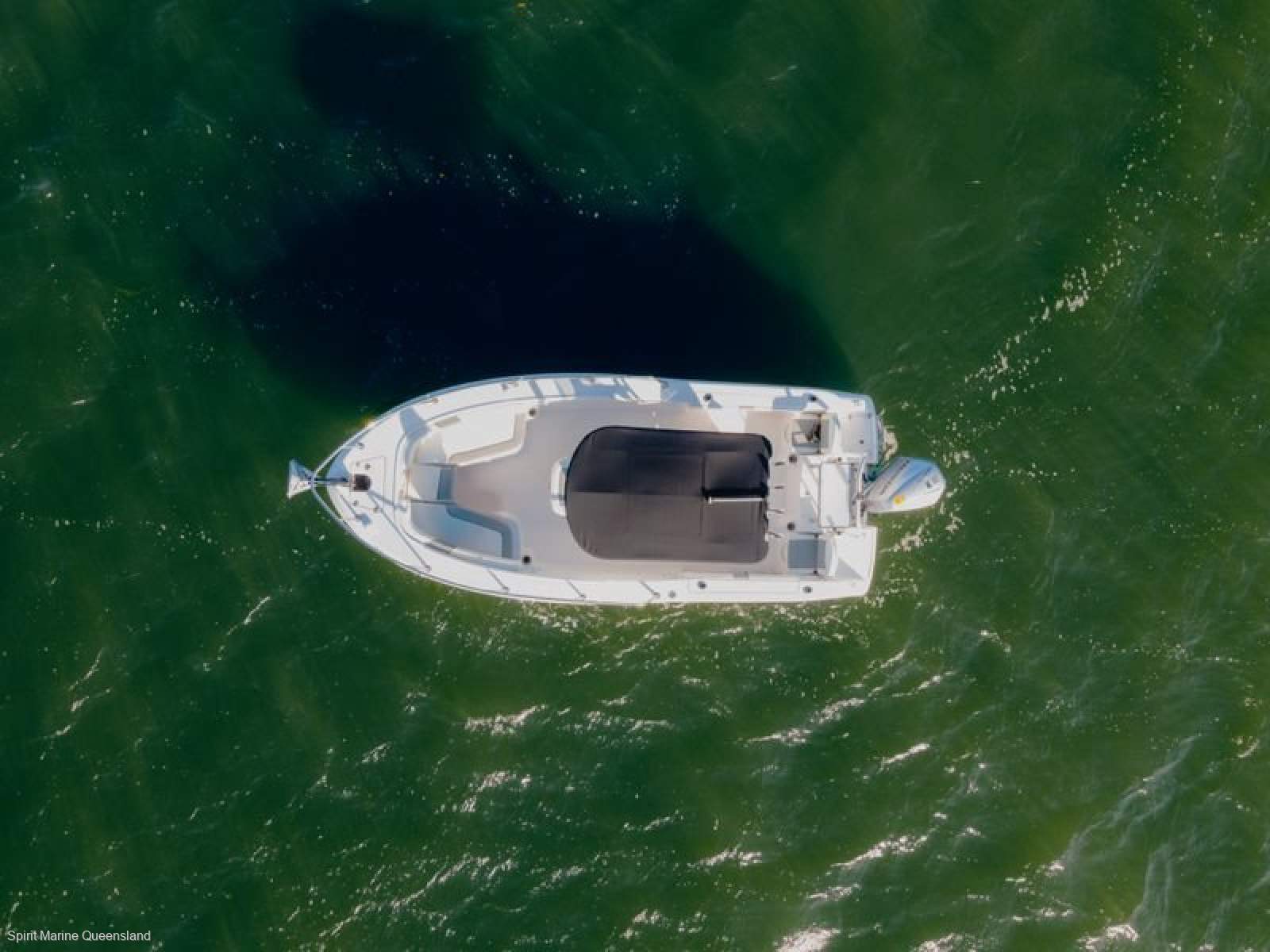 Robalo R200