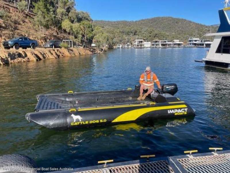 Impact Boats Cattle Dog 5