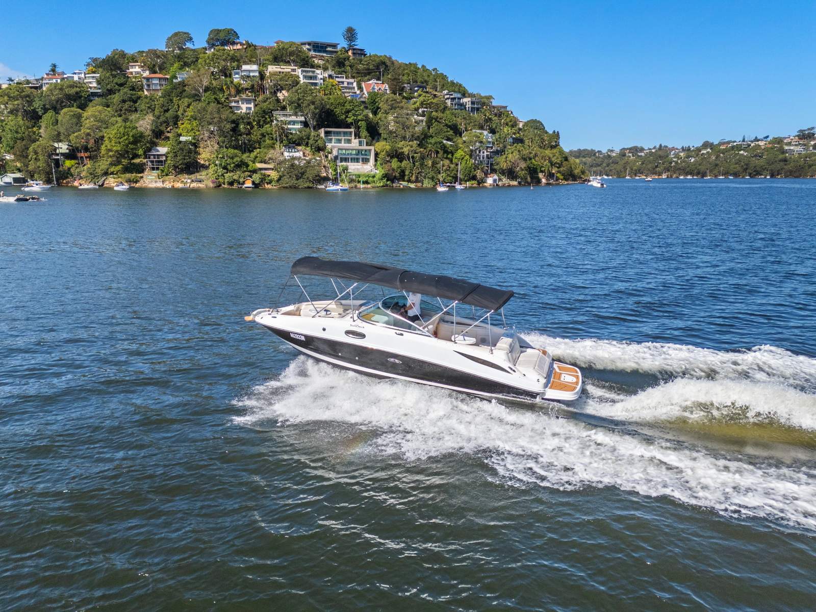 Sea Ray 260 Sundeck