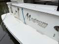 Sea Ray 3300 Express