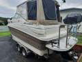 Larson Cabrio 240