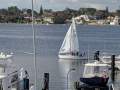 J Boats J/24 Bashford