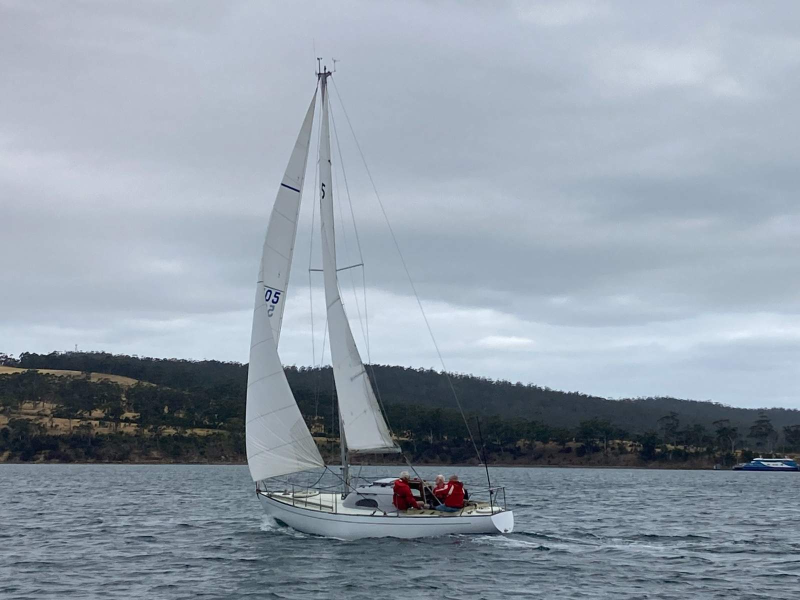 Swanson 27