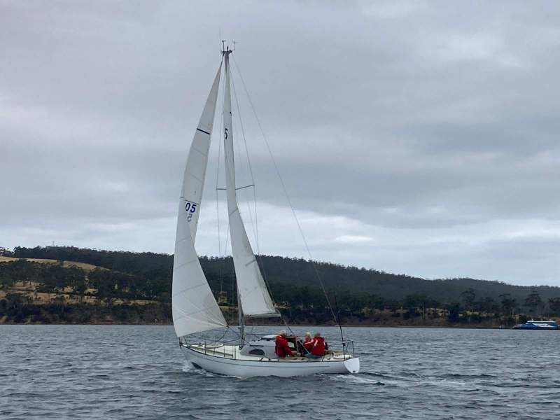 Swanson 27