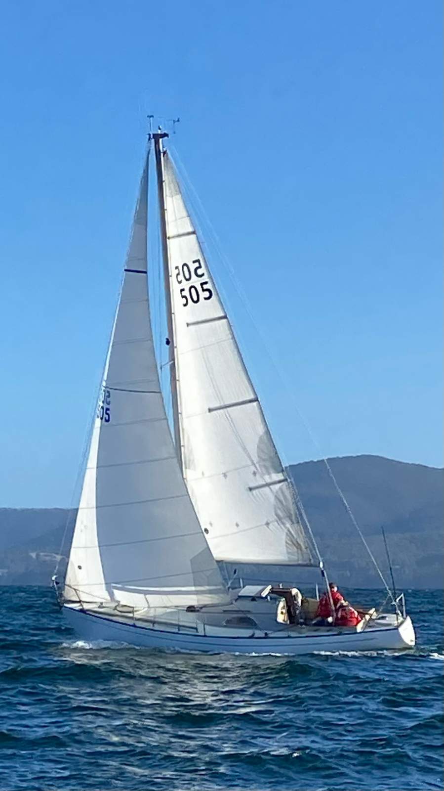 Swanson 27
