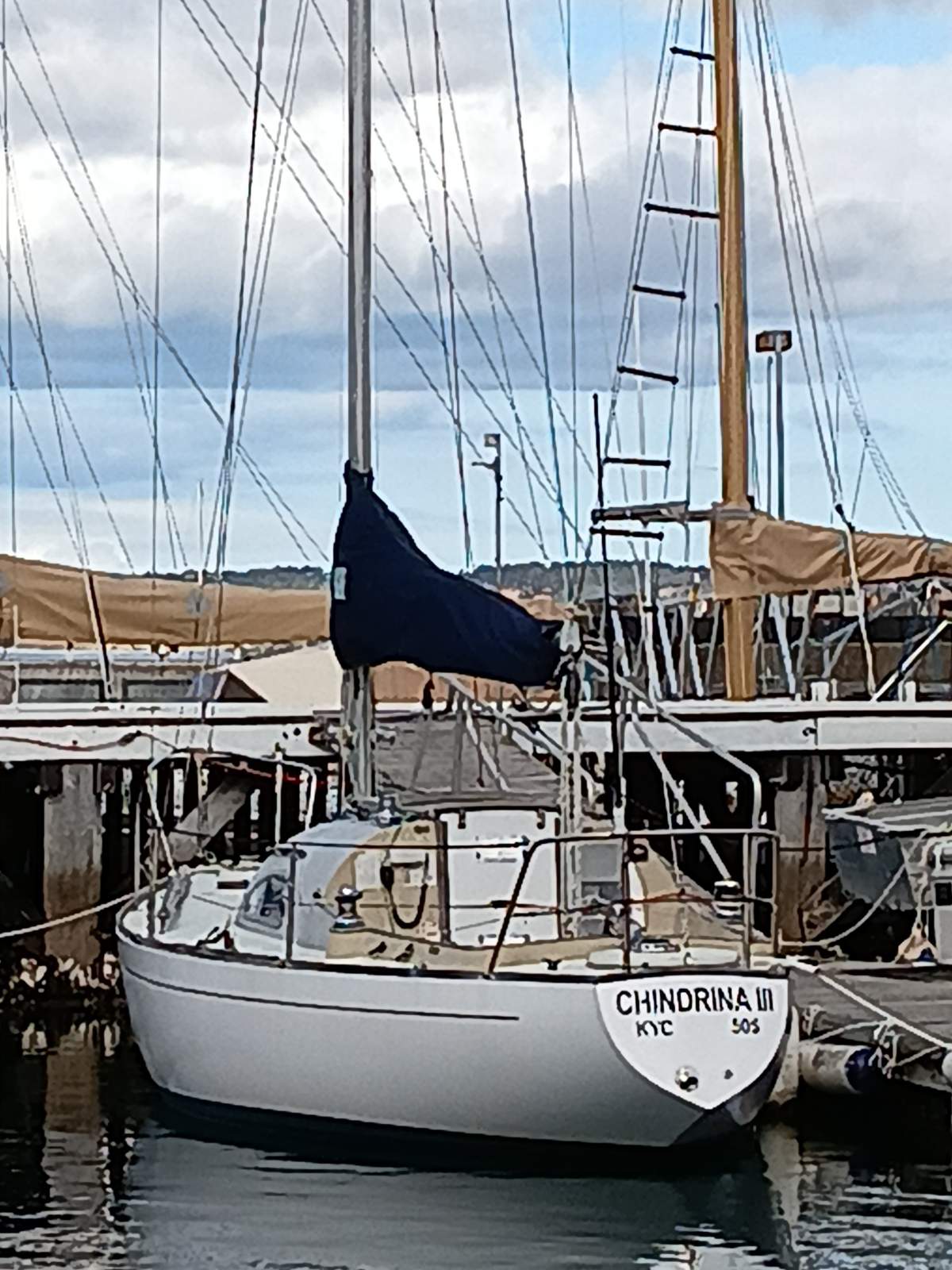 Swanson 27