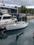 Swanson 27