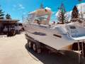 Leeder Tomcat 240
