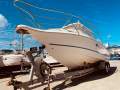 Leeder Tomcat 240