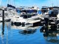 Caribbean 26 Open Runabout