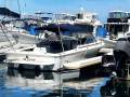 Caribbean 26 Open Runabout