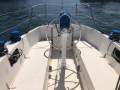 Ufo 34 New Photos New Price to Sell 29k ( Sydney Harbour)