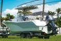Sea Fox 246 Commander