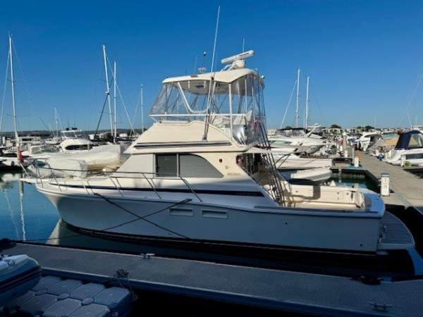 Caribbean 40 Flybridge Cruiser
