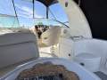 Sea Ray 275 Sundancer - Freshly serviced, upgraded engine & Low hours!