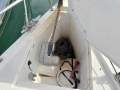 Hanse 345