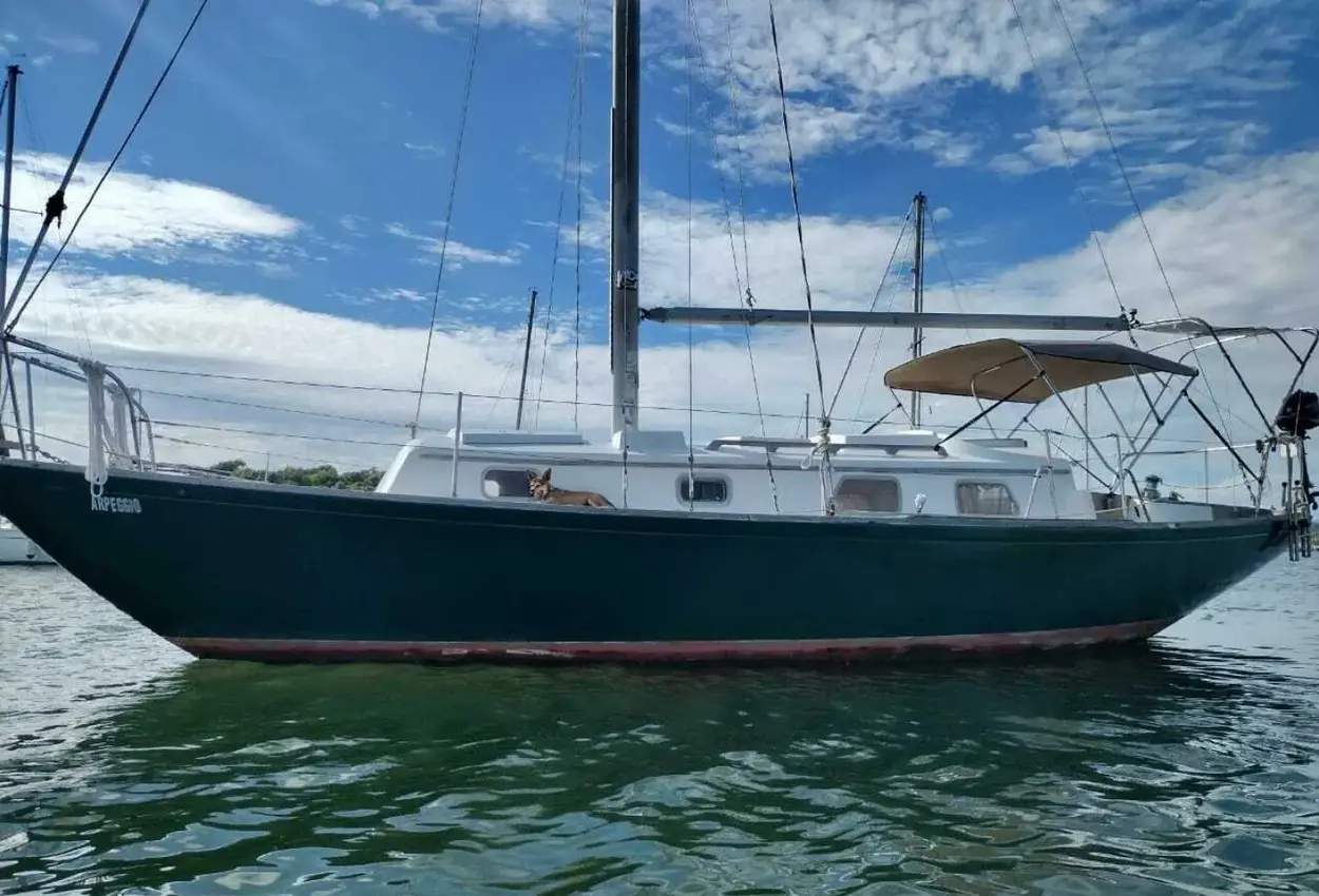 Bristol 32
