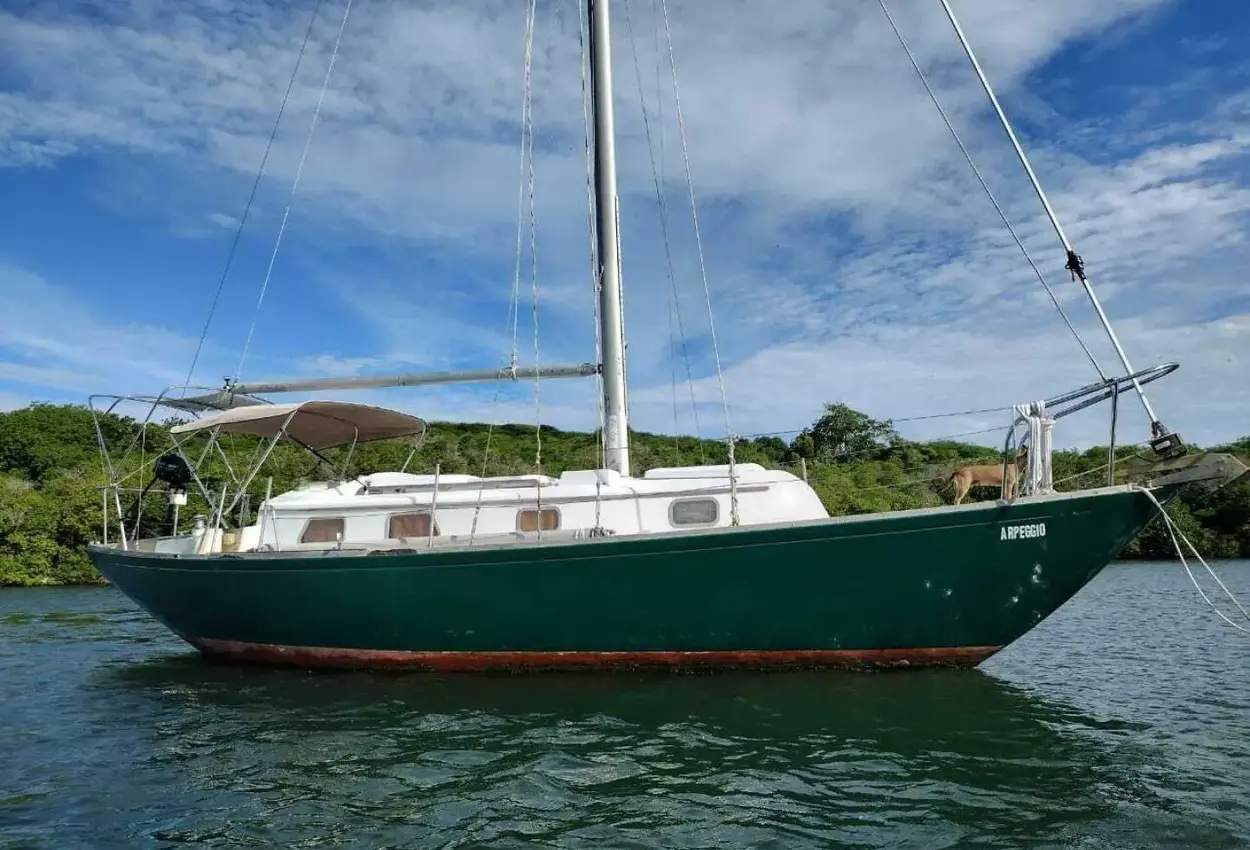 Bristol 32