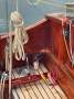 Metre Class Yacht 30 Square Built