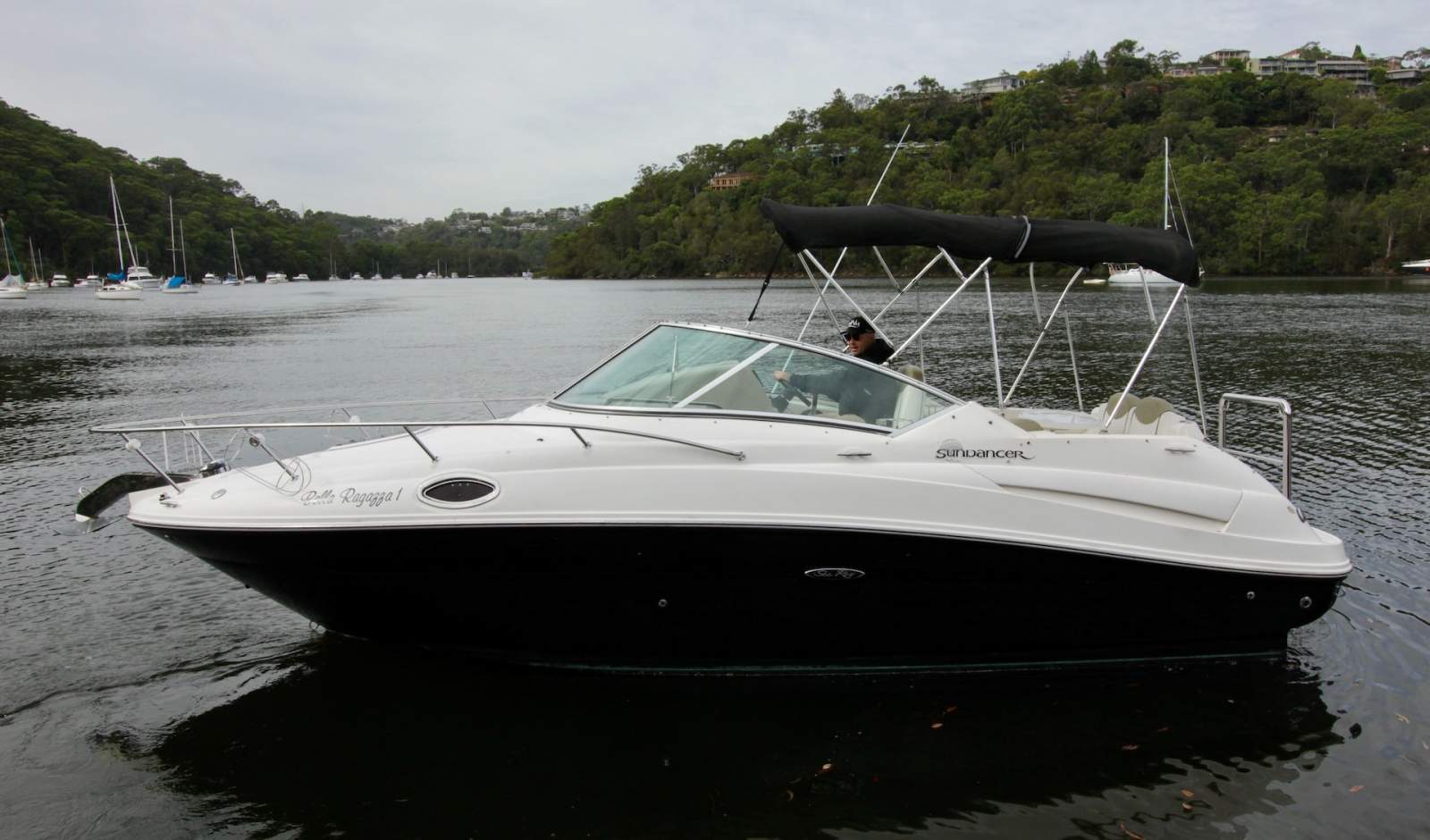 Sea Ray 245 Sundancer