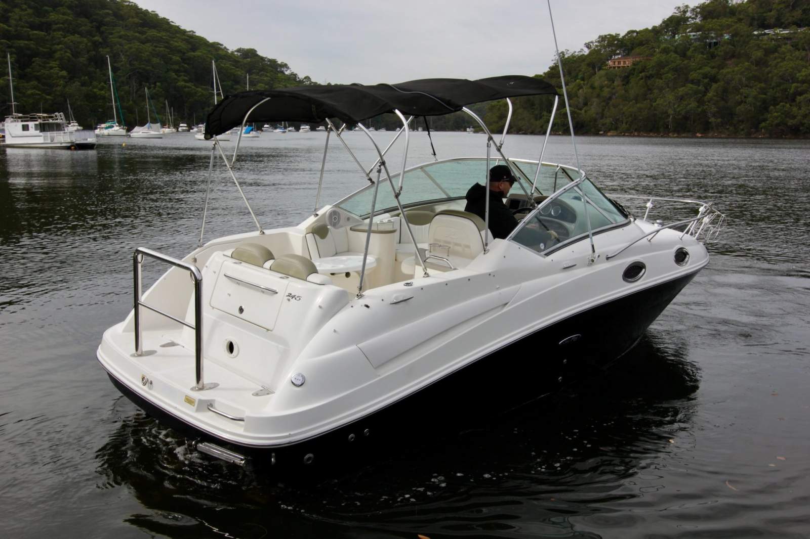 Sea Ray 245 Sundancer