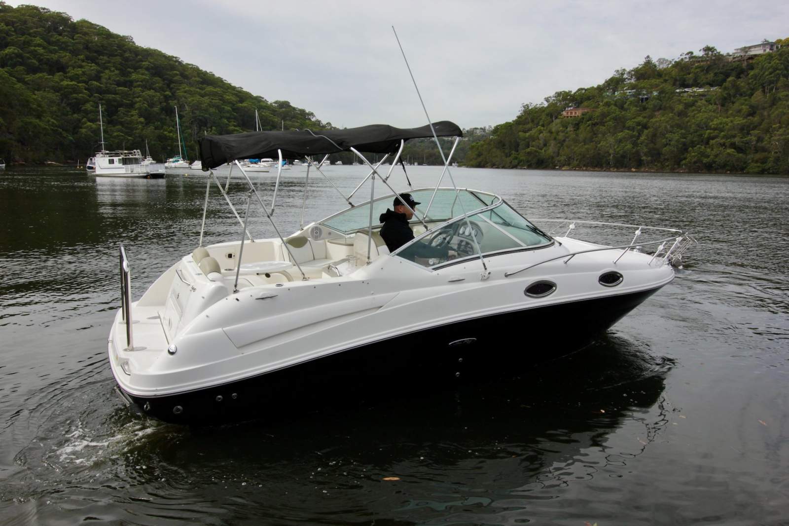 Sea Ray 245 Sundancer