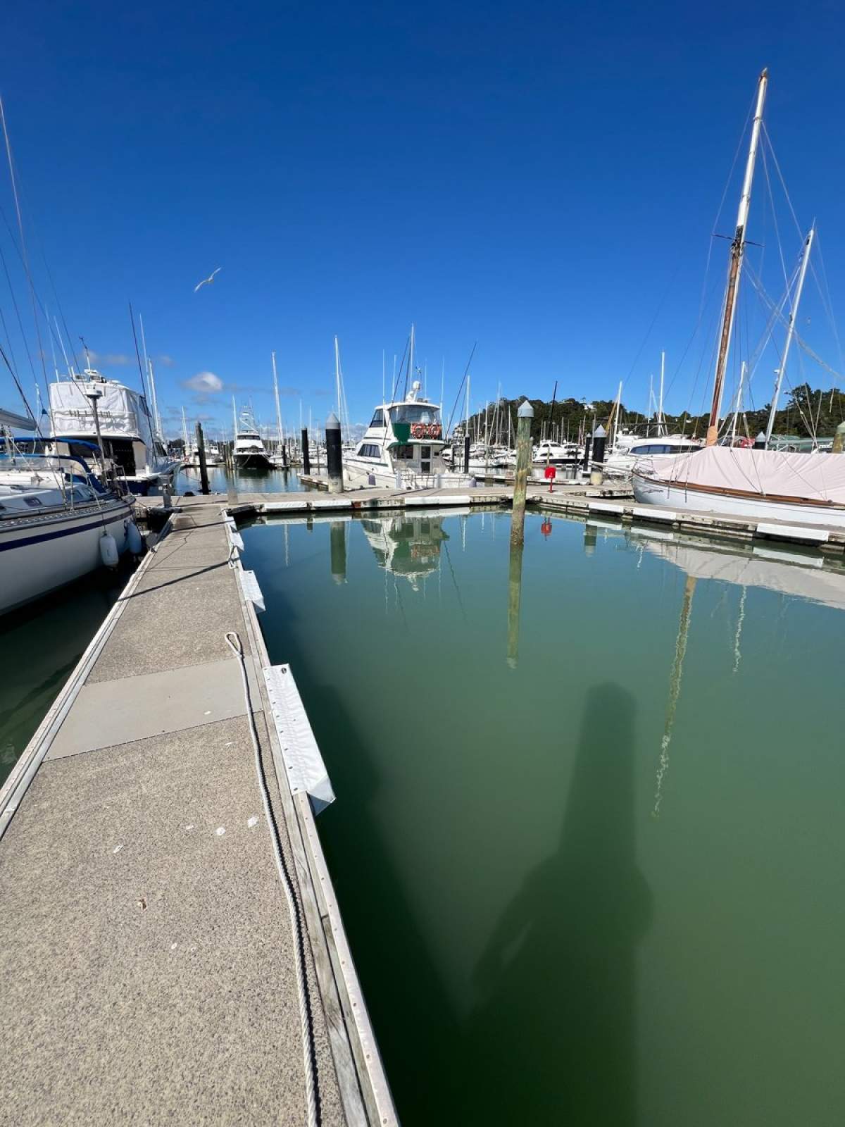 Opua Marina - F pier
