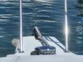 Carver 280 Express