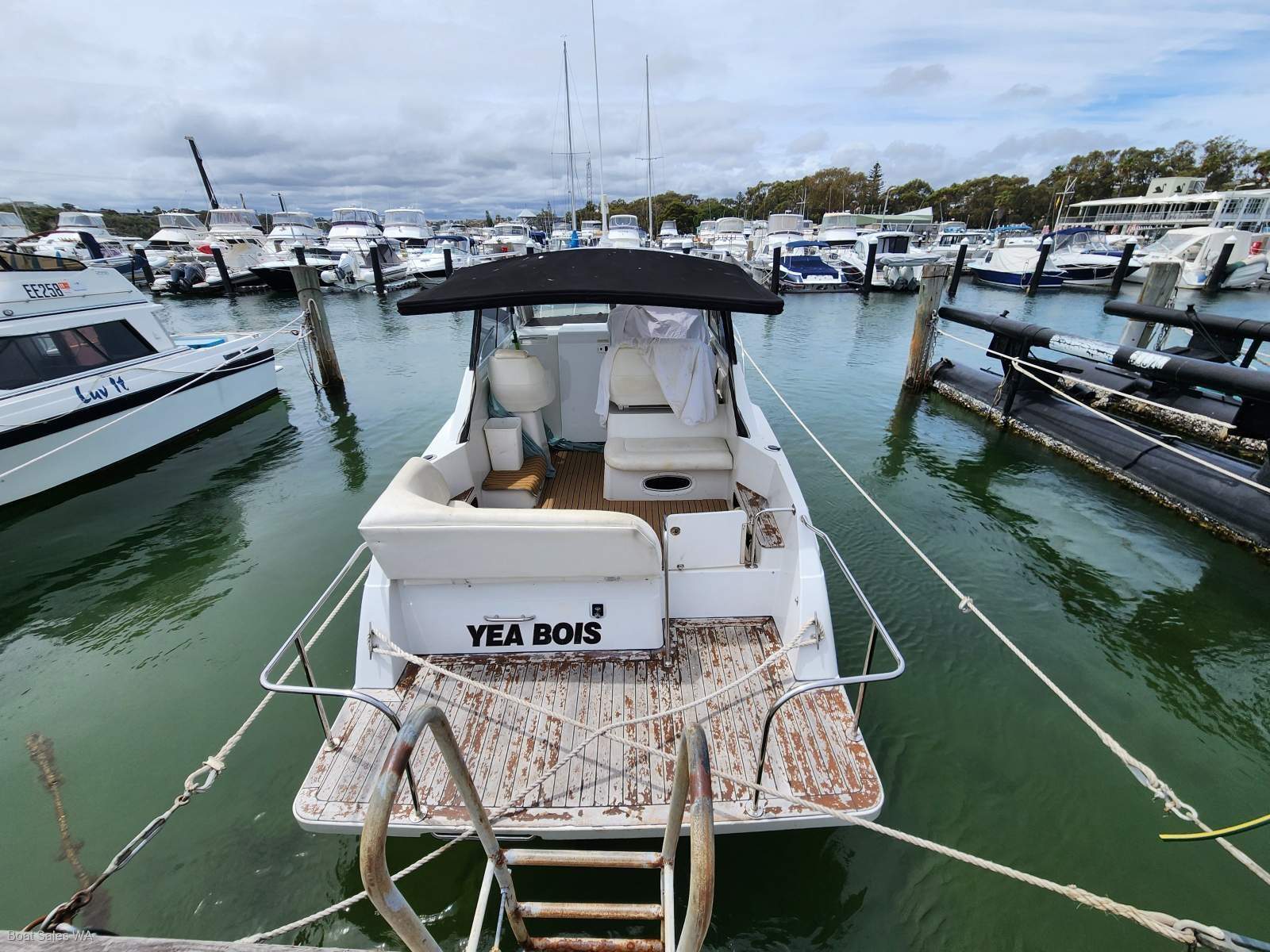 Carver 280 Express