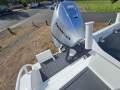 Wild Boats 6.25 - AS NEW WITH WARRANTIES