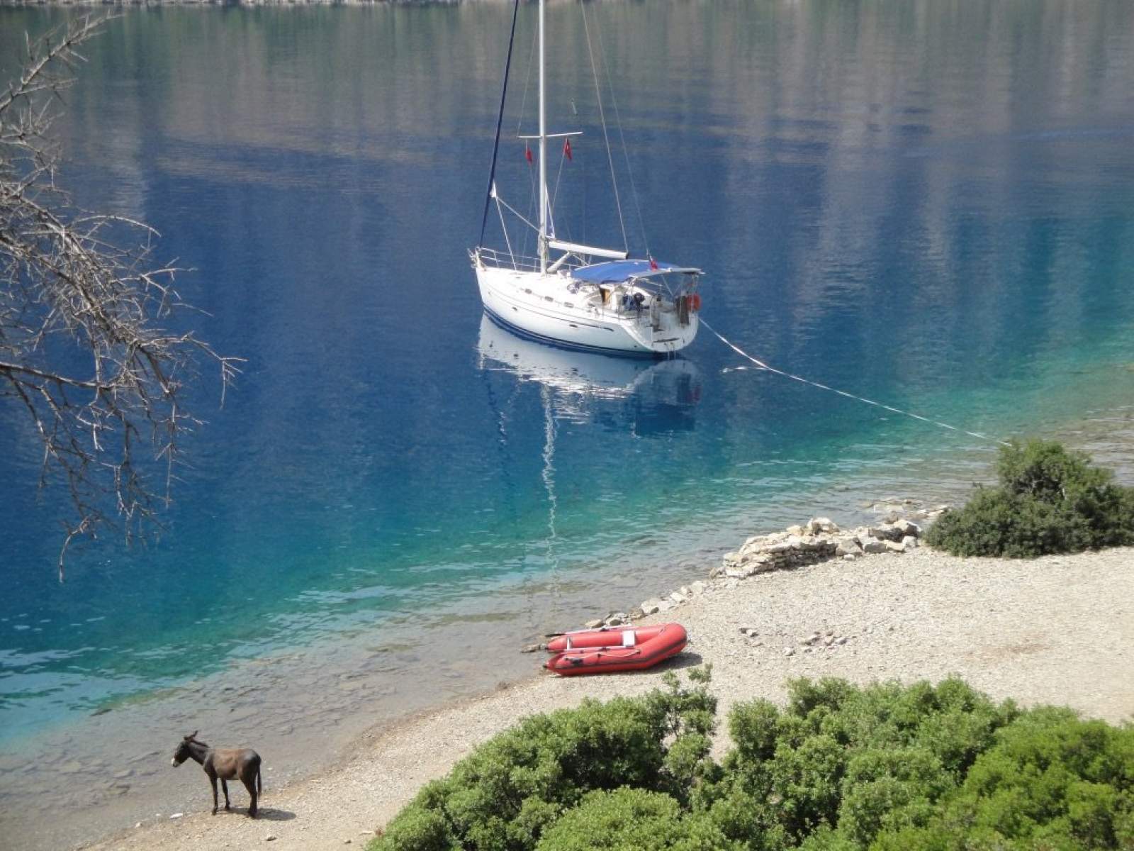 Bavaria 42C