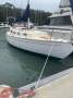 Swanson 32