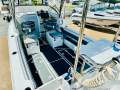 CruiseCraft Explorer EX685
