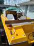 Great Working Boat with Tipper Trailer & lot more.