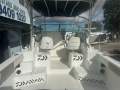 Striper 2300 - 2012 Dual axle ally trailer