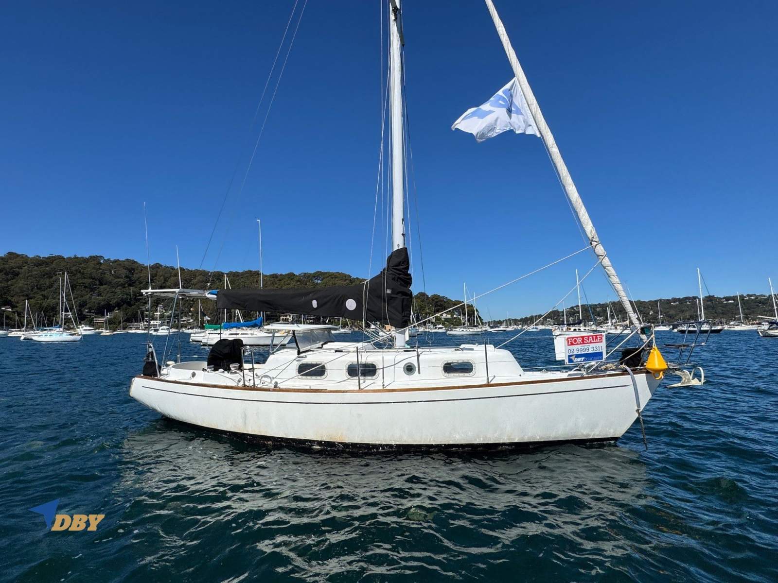 Halvorsen 30
