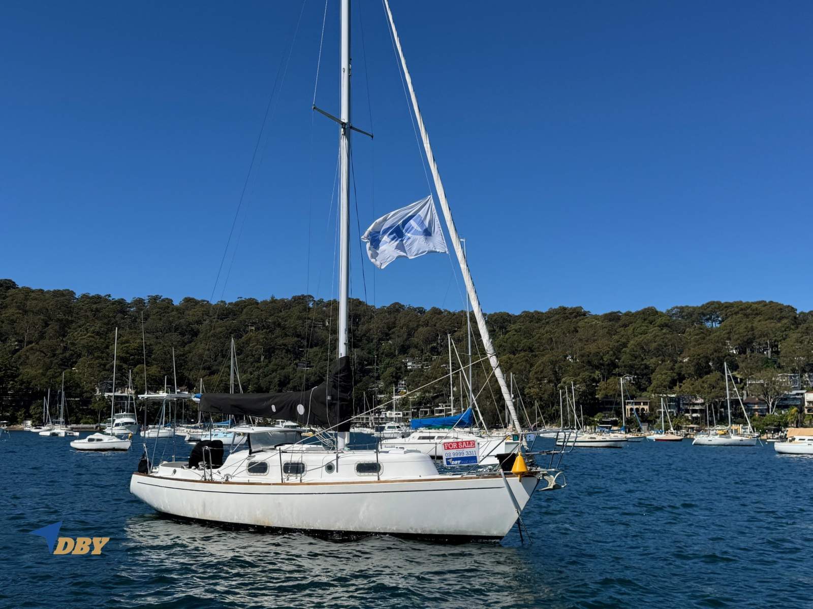 Halvorsen 30