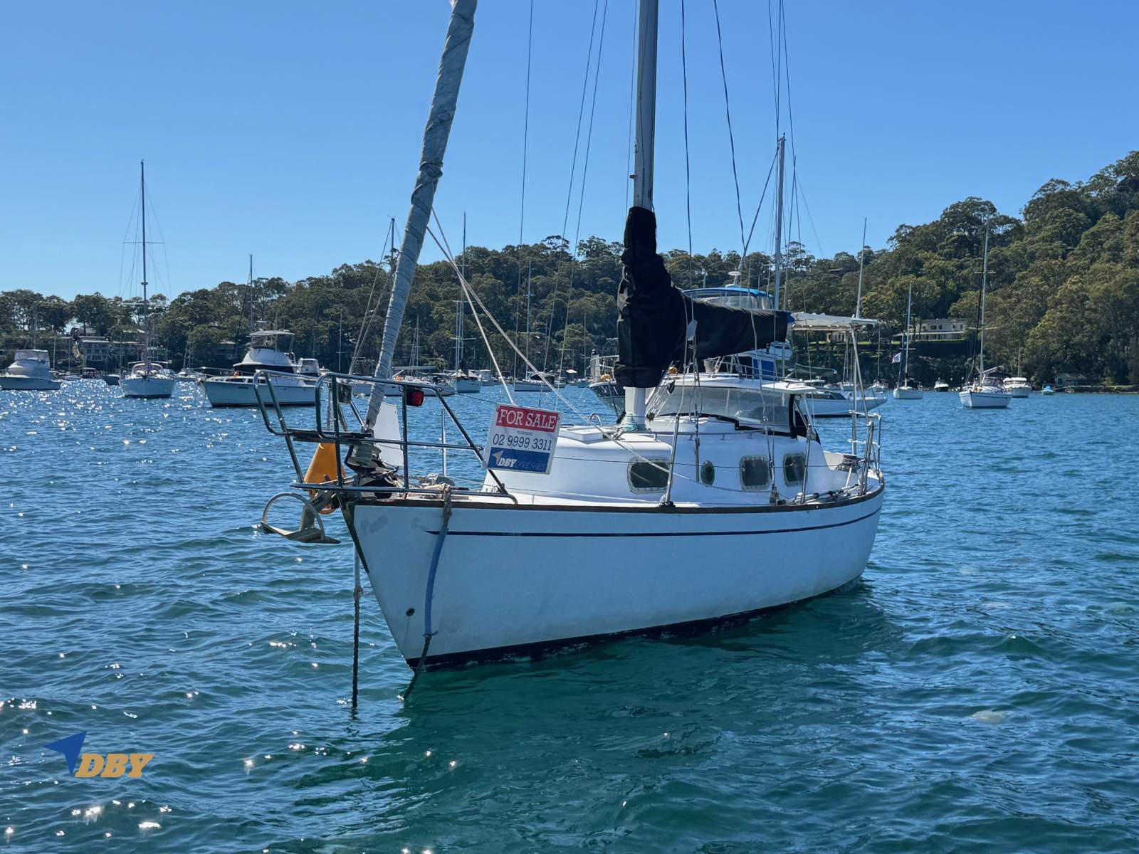 Halvorsen 30