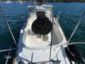 Halvorsen 30