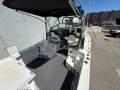 Seaswirl Striper 2301 Wa