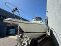 Seaswirl Striper 2301 Wa