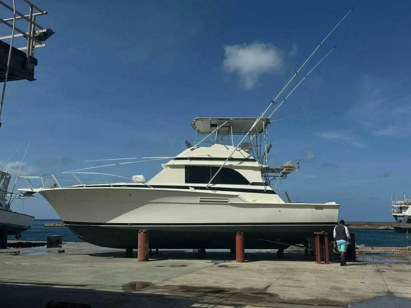 Bertram 46