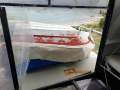 Alloy Cat NZ Les Caie 14m