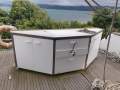 Alloy Cat NZ Les Caie 14m