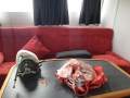 Alloy Cat NZ Les Caie 14m