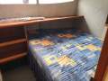 Alloy Cat NZ Les Caie 14m