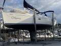Bavaria 34 Cruiser