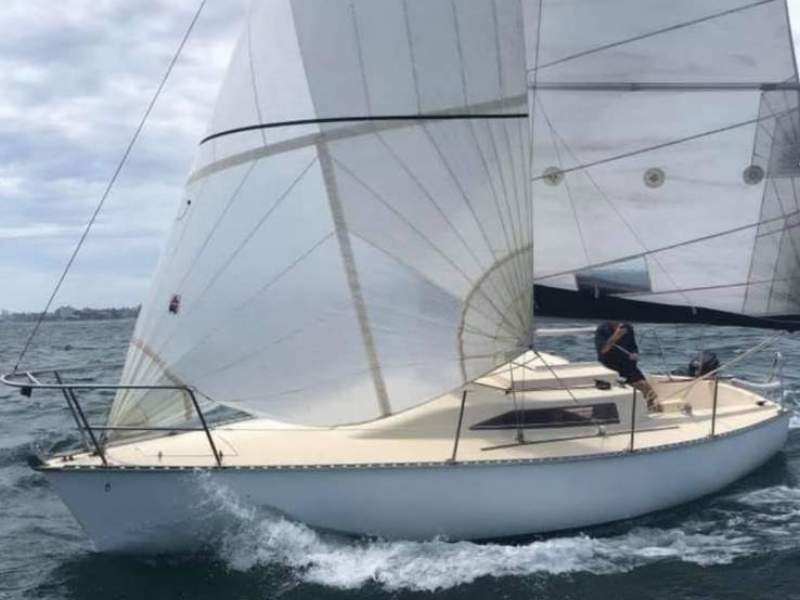 Swarbrick S80